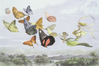 The Fairy Queen